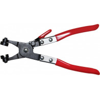 VOOLIKUKLAMBRITE AVAMISTANGID TRIUMF