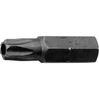 8MM(5/16") OTSIK TORX AVAGA LÜHIKE TH30 TRIUMF