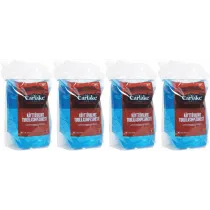 4X3L CARLAKE -20°C KLAASIPESU 3L KOTT (ETANOOL, SIDRUNI LÕHNAGA) TALVINE