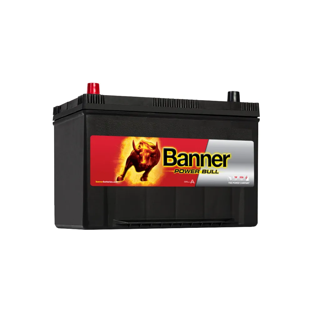 BANNER AKU POWER BULL 95AH 303X173X203/225 + - 740A (CARRIER)