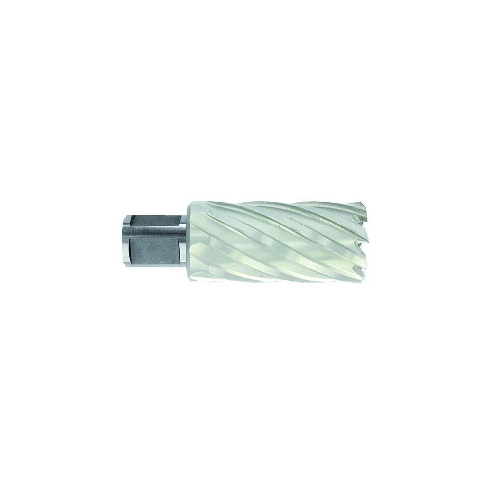 Kroonpuur Ø48X80X50 mm, HSS, pikk seeria. Kinnitus Ø19 mm, Weldon. Haljas