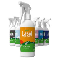 LASOL ITIKKA PUTUKATE EEMALDI 500ML/PIHUSTI