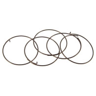 Vedrud Fulcrum tirrisüdamiku konnadele 5