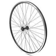 Esijooks Adriatica 26 QR