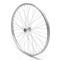 Esijooks Adriatica 26x1.75 QR