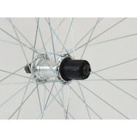 Tagajooks Adriatica 28 QR