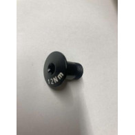 Bianchi Screw SS Pivot (1SS) M12x20