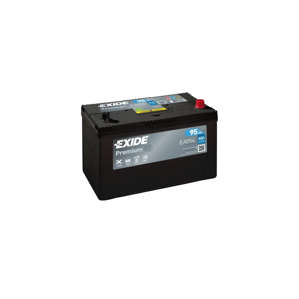 EXIDE 12/95 PRE 306X173X222 -/+