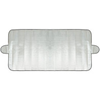 TUULEKLAASI KATE 200X100CM CARMOTION