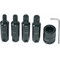 6-OS. 3/4" PIKKADE 12-TÄHIK LÖÖKOTSIKUTE KOMPL. M12/M14/M16/M18 TRIUMF