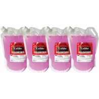 4X3L CARLAKE SUVINE KLAASIPESU KOTT