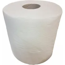 RULLPABER 2-KIHTI 19CM X 120M VALGE (KÄTEPABER)