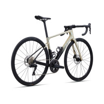 Maanteeratas LIV Avail Advanced 1, Shoreline (M)