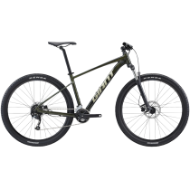 Jalgratas GIANT Talon 29 2, Phantom green (L)