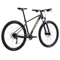 Jalgratas GIANT Talon 29 2, Phantom green (L)