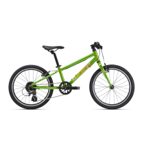 Ülikerge laste jalgratas GIANT ARX 20 (2025) Metallic Green