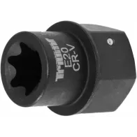 TORX LÖÖKPADRUN E20, 30MM 6-KANT SABA (MAN) TRIUMF