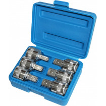 6-OS. ÕLIKORGI MAGNET NELIKANTVÕTMETE KOMPLEKT KARBIS TRIUMF