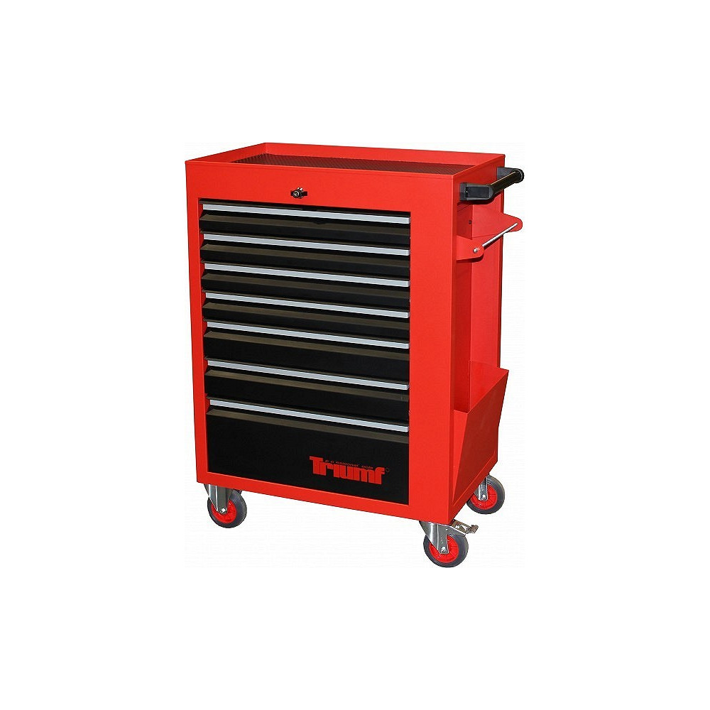 349-OS. TÖÖRIISTAKÄRU TÖÖRIISTADEGA TRIUMF PRO MASTER*