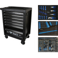 207-OS. TÖÖRIISTAKÄRU TÖÖRIISTADEGA BRILLIANT TOOLS