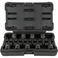 8-OS. 1/2" PIKKADE TORX LÖÖKOTSIKUTE STARDIKOMPLEKT T25-T70 JBM