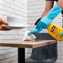 ERLA TABLE CLEANER LAUAPUHASTUSAINE 750ML/PIHUSTI