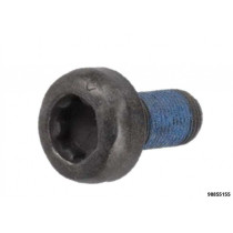 1/2" PIKK LÖÖKOTSIK TORX PLUS IP55, 80MM PICHLER