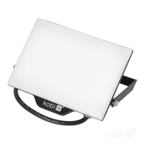 230V LED PROZEKTOR DELYO MHN 50W 4000K IP65