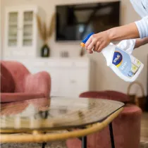ERLA HOME GLASS CLEANER KLAASI- JA PEEGLIPUHASTUSVAHEND 750ML/PIHUSTI