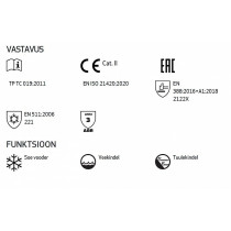 296-12 VEISENAHK THINSULATE TALVE TÖÖKINDAD TEGERA
