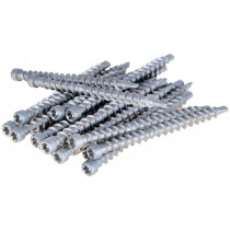 TERRASSIKRUVI 4X60, T15 (250TK) GEKO