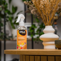 ERLA MISTO SUMMER FRUITS ÕHUVÄRSKENDAJA 250ML