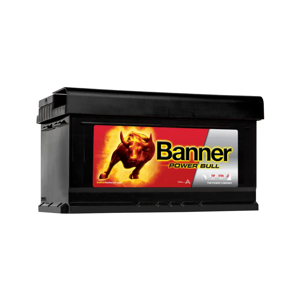 BANNER AKU POWER BULL 80AH 315X175X175 - + 700A