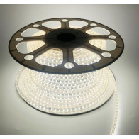 LED riba Tamoline, 50m, 700 lm/m