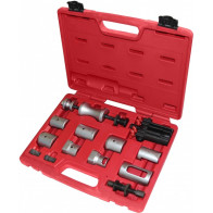 KLAASIPUHASTI VARTE TÕMMITSATE KOMPL. UNIV. TRIUMF