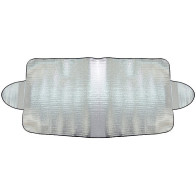 TUULEKLAASI KATE 175X90CM CARMOTION