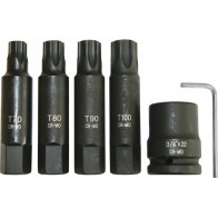 6-OS. 3/4" PIKKADE TORX LÖÖKOTSIKUTE KOMPL. T70/T80/T90/T100 TRIUMF