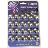 MUTRIKATE KROOM, CH19, 20TK+VÕTI, BLISTER (BV19-000CR)