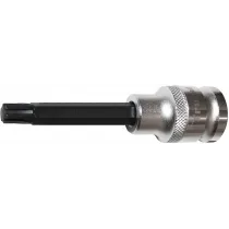 1/2" PIKK PADRUNOTSIK RIBE TORX M5, 100MM TRIUMF