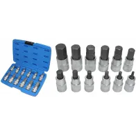 12-OS. 1/2" KUUSKANT PADRUNOTSIKUTE KOMPLEKT 5-22MM TRIUMF