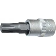 1/4" PADRUNOTSIK TORX LÜHIKE T10 TRIUMF