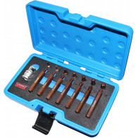 15-OS. 10MM(3/8") TORX OTSIKUTE KOMPL. PIKK/LÜH. T20-T55 TRIUMF